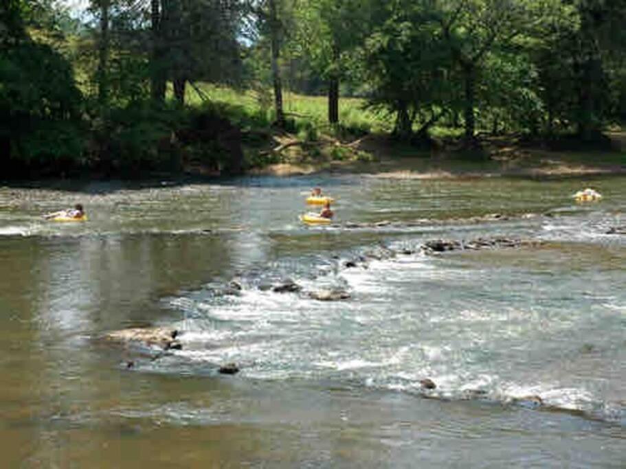 Riverside Relaxer W/Hot Tub+Fire Pit +Wifi & View Franklin Dış mekan fotoğraf